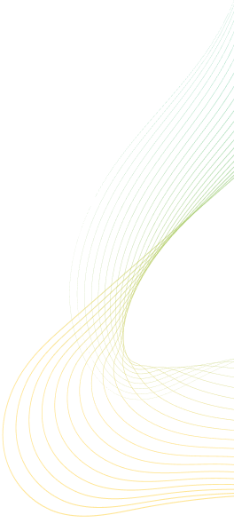Gold-Shell Constructions Limited
